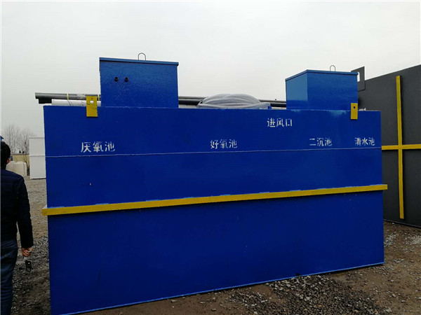 生活91成人免费看片